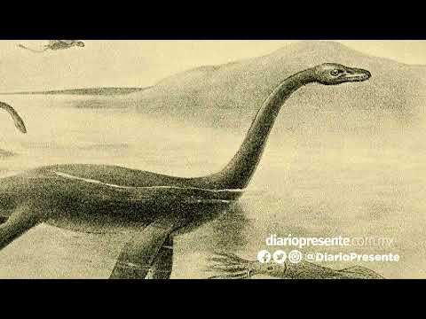 Fotos Del Monstruo Del Lago Ness - Nessie hunters